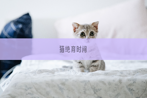 猫绝育时间