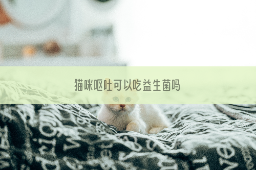 猫咪呕吐可以吃益生菌吗