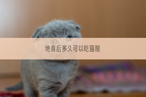 绝育后多久可以吃猫粮