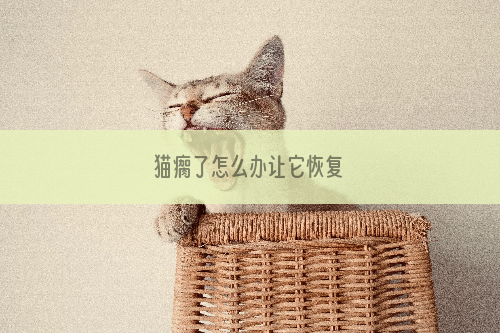 猫瘸了怎么办让它恢复