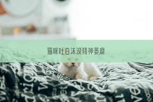 猫咪吐白沫没精神萎靡