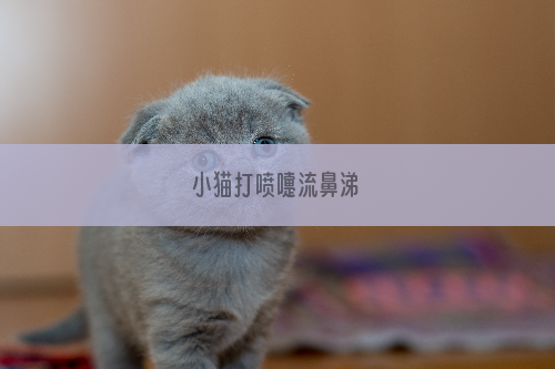 小猫打喷嚏流鼻涕