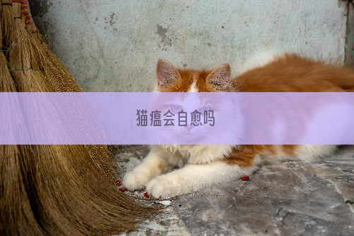 猫瘟会自愈吗