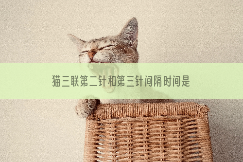 猫三联第二针和第三针间隔时间是多少 猫三联时间间隔