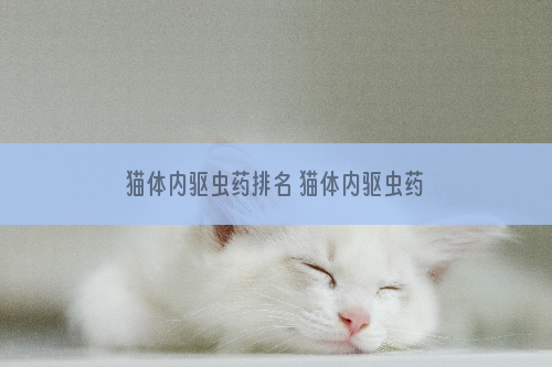 猫体内驱虫药排名 猫体内驱虫药排行