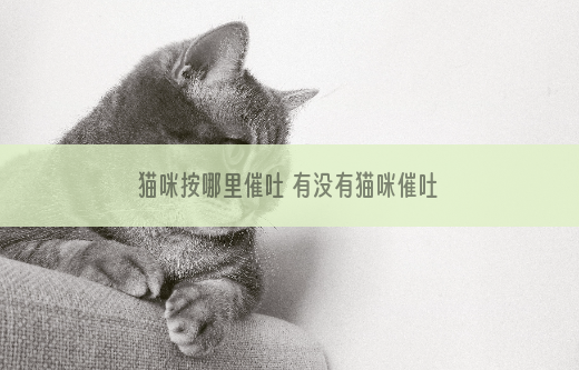 猫咪按哪里催吐 有没有猫咪催吐的方法