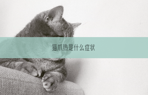猫爪热是什么症状