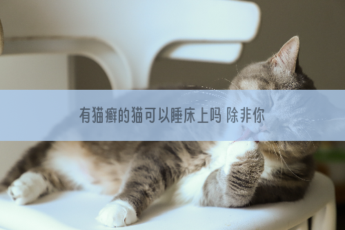 有猫癣的猫可以睡床上吗 除非你也想得猫藓