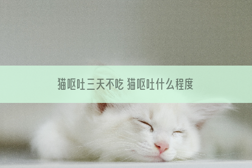 猫呕吐三天不吃 猫呕吐什么程度该去看医生?