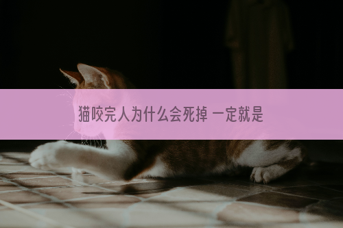 猫咬完人为什么会死掉 一定就是狂犬病吗?