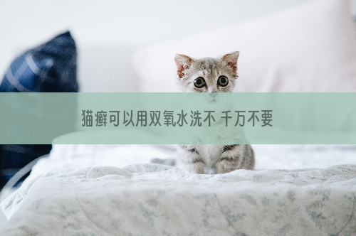 猫癣可以用双氧水洗不 千万不要直接倒啊！