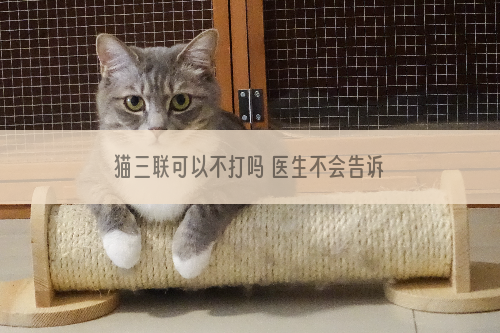 猫三联可以不打吗 医生不会告诉你的事