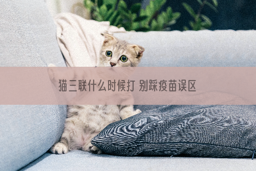 猫三联什么时候打 别踩疫苗误区