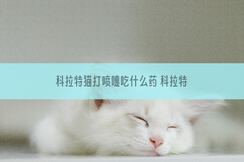 科拉特猫打喷嚏吃什么药 科拉特猫打喷嚏解决办法