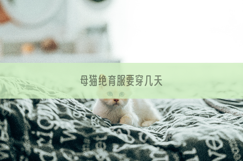 母猫绝育服要穿几天