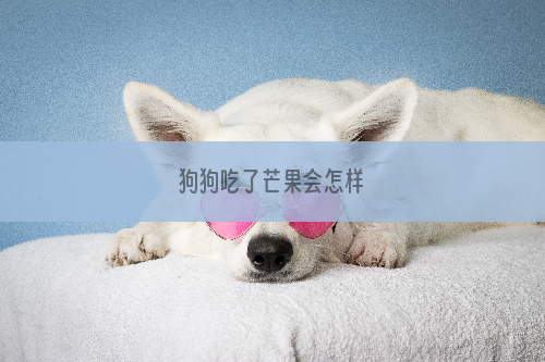 狗狗吃了芒果会怎样