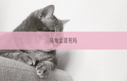 乌龟会撑死吗