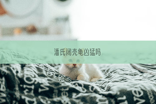 潘氏闭壳龟凶猛吗