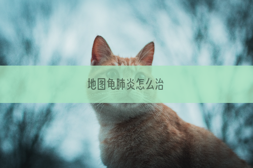 地图龟肺炎怎么治