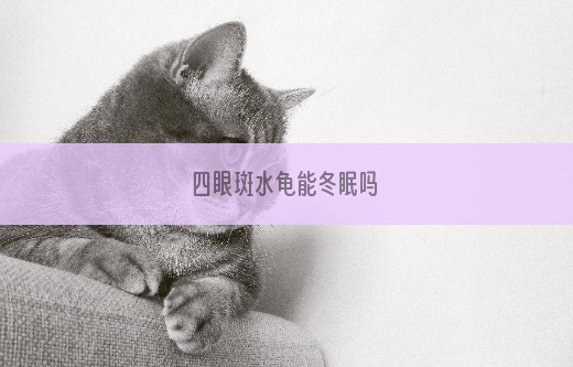 四眼斑水龟能冬眠吗