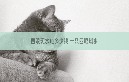 四眼斑水龟多少钱 一只四眼斑水龟多少钱