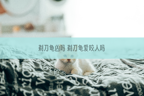 剃刀龟凶吗 剃刀龟爱咬人吗