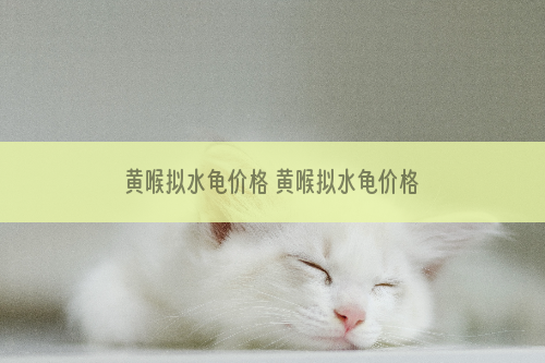 黄喉拟水龟价格 黄喉拟水龟价格多少