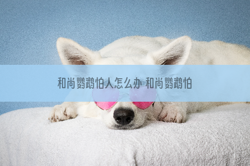 和尚鹦鹉怕人怎么办 和尚鹦鹉怕人怎么处理