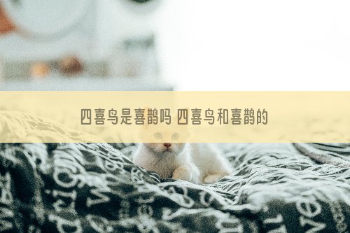 四喜鸟是喜鹊吗 四喜鸟和喜鹊的区别