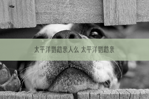 太平洋鹦鹉亲人么 太平洋鹦鹉亲人吗
