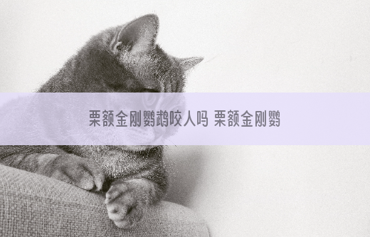 栗额金刚鹦鹉咬人吗 栗额金刚鹦鹉咬不咬人