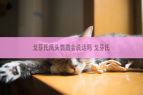 戈芬氏凤头鹦鹉会说话吗 戈芬氏凤头鹦鹉会不会说话