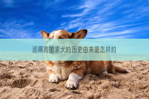 追溯高加索犬的历史由来是怎样的