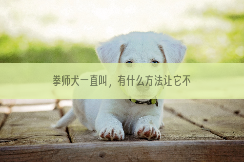 拳师犬一直叫，有什么方法让它不要再叫了？