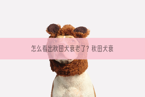 怎么看出秋田犬衰老了？秋田犬衰老的特征是什么？