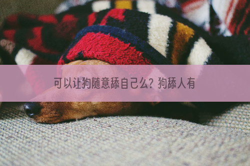可以让狗随意舔自己么？狗舔人有危害么？