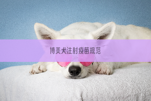 博美犬注射疫苗规范