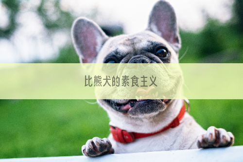 比熊犬的素食主义