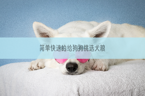 简单快速的给狗狗挑选犬粮