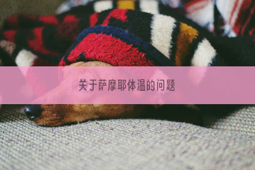 关于萨摩耶体温的问题