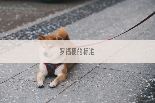 罗福梗的标准