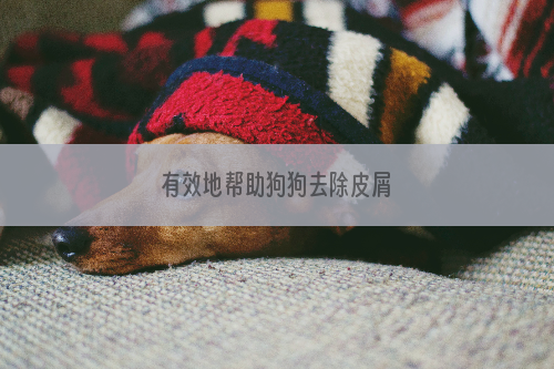 有效地帮助狗狗去除皮屑