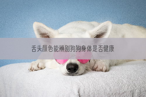 舌头颜色能辨别狗狗身体是否健康