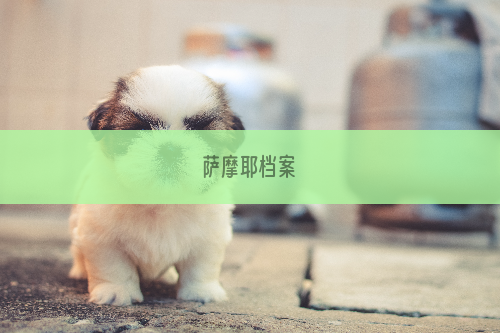 萨摩耶档案