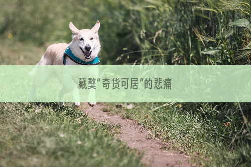 藏獒“奇货可居”的悲痛