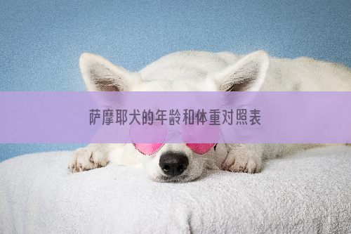 萨摩耶犬的年龄和体重对照表