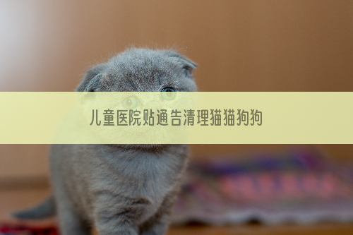 儿童医院贴通告清理猫猫狗狗