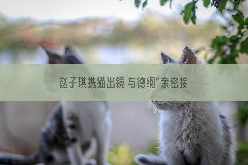 赵子琪携猫出镜 与德纲“亲密接触”(图)