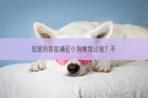 低敏狗粮能减轻小狗食物过敏？不一定！找出过敏源自会痊愈