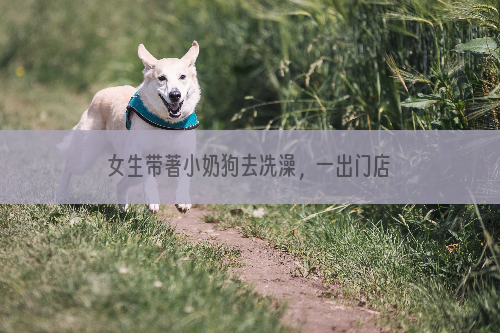 女生带著小奶狗去冼澡，一出门店就把小家伙丢马路边，好闺蜜：真霉气